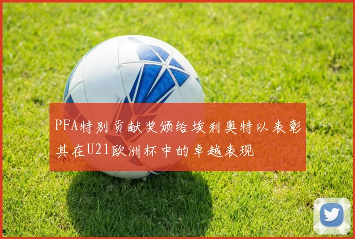 PFA特别贡献奖颁给埃利奥特以表彰其在U21欧洲杯中的卓越表现