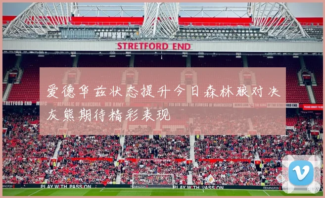 爱德华兹状态提升今日森林狼对决灰熊期待精彩表现