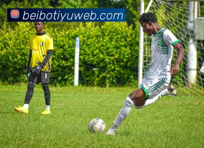 App Interface Preview