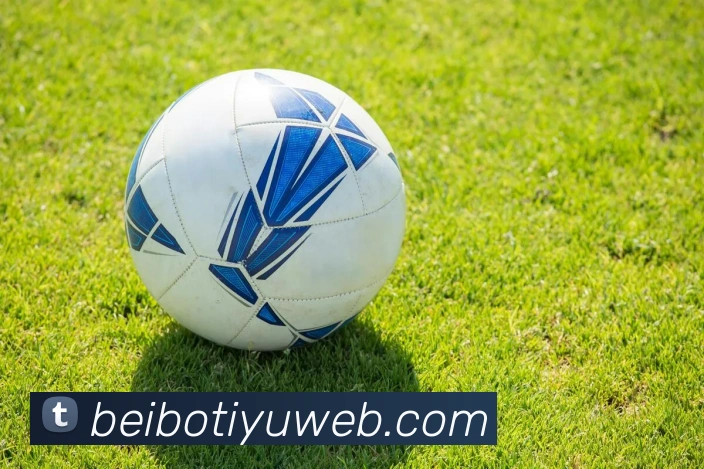 贝博体育APP 封面图